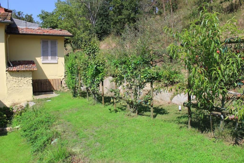 Casa Barulli - Tuscany San Giovanni Valdarno Exteriér fotografie